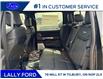 2026 Ford F-350 Platinum (Stk: LFFF01681) in Tilbury - Image 15 of 15