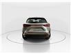 2026 Lexus NX 450h+  (Stk: 15T1793) in Richmond Hill - Image 6 of 18