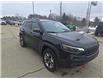 2019 Jeep Cherokee Trailhawk (Stk: U2545B) in Miramichi - Image 7 of 13