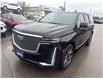 2023 Cadillac Escalade Premium Luxury (Stk: 26802A) in Port Hope - Image 3 of 29
