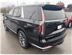 2023 Cadillac Escalade Premium Luxury (Stk: 26802A) in Port Hope - Image 24 of 29