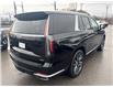 2023 Cadillac Escalade Premium Luxury (Stk: 26802A) in Port Hope - Image 27 of 29