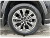 2025 Toyota RAV4 XLE (Stk: 12107916A) in Concord - Image 15 of 44