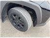 2022 Toyota RAV4 Trail (Stk: 5095536A) in Cranbrook - Image 20 of 20
