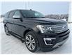 2020 Ford Expedition Platinum (Stk: A26064) in Hague - Image 2 of 16