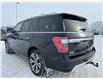 2020 Ford Expedition Platinum (Stk: A26064) in Hague - Image 6 of 16