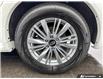 2024 Infiniti QX80  (Stk: 165415) in London - Image 6 of 20