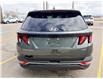 2022 Hyundai Tucson Preferred (Stk: T149A) in Chatham - Image 6 of 24
