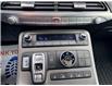 2021 Hyundai Palisade Ultimate Calligraphy (Stk: 6B006A) in Chatham - Image 19 of 24