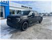 2023 GMC Sierra 1500 Elevation (Stk: 25P057) in Wadena - Image 2 of 16