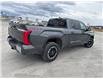 2026 Toyota Tundra SR5 (Stk: X053619) in Cranbrook - Image 5 of 19
