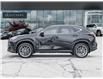 2026 Lexus NX 350  (Stk: 15T1790A) in Richmond Hill - Image 4 of 29