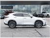 2023 Lexus NX 350h  (Stk: 15105571A) in Richmond Hill - Image 6 of 28