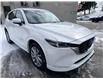 2023 Mazda CX-5 Signature (Stk: 16166) in Newmarket - Image 24 of 50