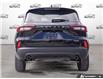 2025 Ford Escape ST-Line (Stk: 603927) in St. Catharines - Image 5 of 27