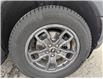 2024 Ford Bronco Sport Big Bend (Stk: UT12447) in Haliburton - Image 8 of 20