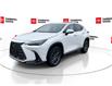 2025 Lexus NX 350h Base (Stk: 12108125A) in Concord - Image 5 of 18
