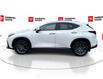 2025 Lexus NX 350h Base (Stk: 12108125A) in Concord - Image 6 of 18