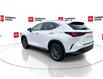 2025 Lexus NX 350h Base (Stk: 12108125A) in Concord - Image 7 of 18