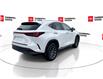 2025 Lexus NX 350h Base (Stk: 12108125A) in Concord - Image 9 of 18