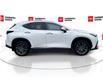 2025 Lexus NX 350h Base (Stk: 12108125A) in Concord - Image 10 of 18