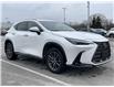 2025 Lexus NX 350h Base (Stk: 12108125A) in Concord - Image 11 of 18