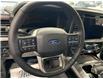 2026 Ford F-150 Platinum (Stk: 26068) in Melfort - Image 21 of 23