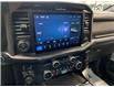2026 Ford F-150 Platinum (Stk: 26068) in Melfort - Image 23 of 23