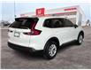 2025 Honda CR-V LX (Stk: C1705) in Lethbridge - Image 3 of 22