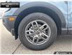 2026 Ford Bronco Sport Big Bend (Stk: 6BR9259) in Brantford - Image 6 of 23