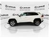 2024 Toyota RAV4  (Stk: 14U7374) in Markham - Image 6 of 29