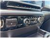 2025 Chevrolet Silverado 1500 LT Trail Boss (Stk: P2160) in Newmarket - Image 18 of 24