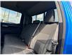 2025 Chevrolet Silverado 1500 LT Trail Boss (Stk: P2160) in Newmarket - Image 11 of 24