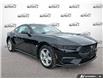 2026 Ford Mustang EcoBoost (Stk: OFL6G009) in Oakville - Image 1 of 23