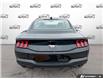 2026 Ford Mustang EcoBoost (Stk: OFL6G009) in Oakville - Image 5 of 23