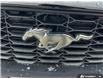 2026 Ford Mustang EcoBoost (Stk: OFL6G009) in Oakville - Image 9 of 23