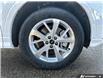 2025 Audi Q3 40 (Stk: B89137) in Okotoks - Image 6 of 25