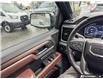 2025 GMC Sierra 1500 Denali Ultimate (Stk: T53141) in Richmond - Image 17 of 25