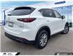 2025 Mazda CX-5 GS (Stk: P0717) in Tecumseh - Image 5 of 25