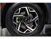 2023 Kia Sportage LX (Stk: 26249A) in Edmonton - Image 8 of 21