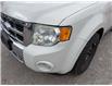 2011 Ford Escape Limited (Stk: 5B139XZ) in Oakville - Image 9 of 41