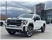 2025 GMC Sierra 3500HD SLE (Stk: F171855K) in Cranbrook - Image 1 of 21