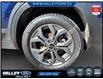 2024 Kia Seltos  (Stk: 26P009) in Kentville - Image 12 of 31