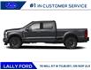 2026 Ford F-250 Platinum (Stk: LFFF01814) in Tilbury - Image 3 of 13