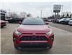 2021 Toyota RAV4 XLE (Stk: TS565B) in Blenheim - Image 10 of 21