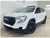 2024 GMC Terrain SLE (Stk: 43640J) in Belleville - Image 3 of 32