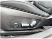 2023 BMW 330i xDrive (Stk: 16137) in Newmarket - Image 6 of 50