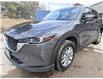 2023 Mazda CX-5 GS (Stk: 16161) in Newmarket - Image 1 of 50