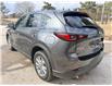 2023 Mazda CX-5 GS (Stk: 16161) in Newmarket - Image 17 of 50
