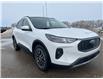 2023 Ford Escape PHEV (Stk: V29449) in Hague - Image 2 of 14
